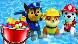 Paw Patrol Snuggle Pups Complete Best One Hour Toy Learning Video [upl. by Tsui140]