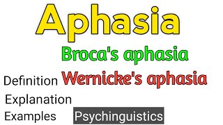 Wernickes and Brocas Aphasia [upl. by Hutt]