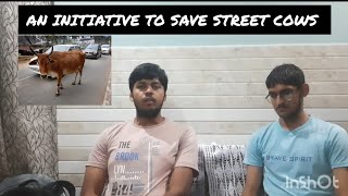 a mission to save street cows [upl. by Orms]