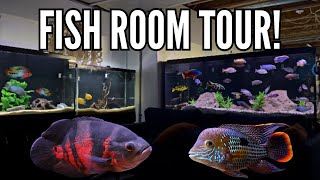 15 Cichlid Tanks in One Home Incredible Fish Room Tour [upl. by Martinson]