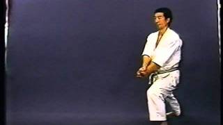 Heian Godan JKA  Sensei Osaka [upl. by Shanks]