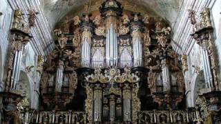 Leżajsk  XVII ct pipe organ  J S Bach Toccata and Fugue in d minor BWV 565 [upl. by Quar727]