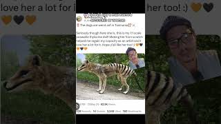 Thylacine photos debunked [upl. by Supple]