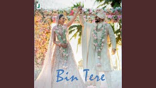 Bin Tere [upl. by Behl]