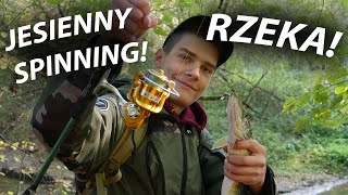 JESIENNY SPINNING NA RZECE POSZUKIWANIE KLENI GOŚCINNIE BER GAR [upl. by Okim]