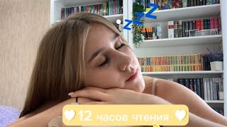 12 часов чтения толстячки📖💤 [upl. by Nylirad]