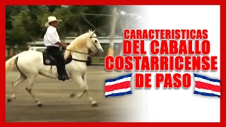 🐴🇨🇷 Características del Caballo Costarricense de Paso  Caballos Bailadores [upl. by Maiocco]