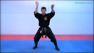 Ninjutsu 7 Posiciones básicas kamae no kata [upl. by Arej76]