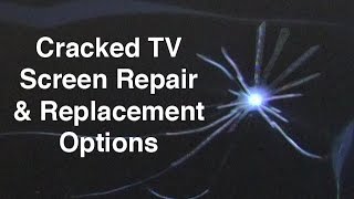 Cracked TV Screen  LCD amp LED TV Panel Repair Options amp Replacement [upl. by Celio907]