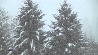 AMBIANCE DE NOEL  NEIGE QUI TOMBE SNOWFALL HIVER WINTER FONDS ECRAN ANIME [upl. by Costello261]