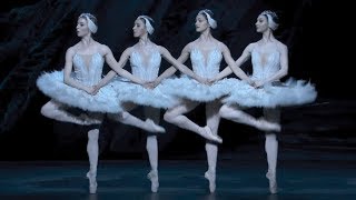 Swan Lake – Dance of the cygnets The Royal Ballet [upl. by Nazler]