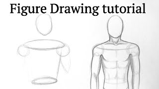 How to draw human figure drawing Male Torso easy for Beginners Pencil drawing tutorial easy Basics [upl. by Ellinehc]