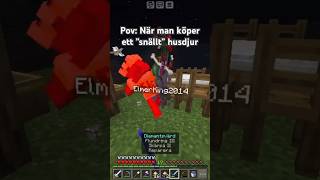 Jag är ett ”snällt” husdjur pets minecraft minecraftshorts minecraftmodded minecraftpe [upl. by Maynard]