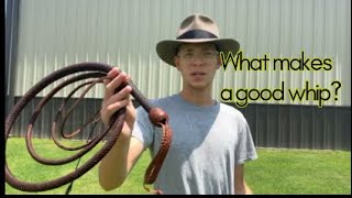 What makes a good whip [upl. by Alexandro]