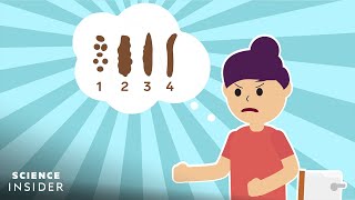 How To Take The Best Poop According To Science [upl. by Eidarb145]