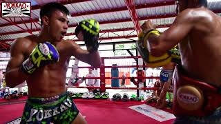 Muay Thai Manachai training 1 min pads1 min sparring with Singdam  YOKKAO Training Center Bangkok [upl. by Atsejam295]