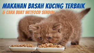 6 Makanan Basah Kucing Terbaik amp Cara Buat Wetfood Kucing Sendiri [upl. by Valer150]