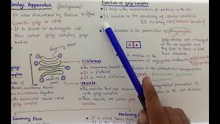 Golgi Apparatus ll biology ll 11class ll faderal board [upl. by Metah]