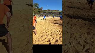 POV Beach Volleyball Action games beachball volleyball fun funball cat dog workout sports [upl. by Delaryd]