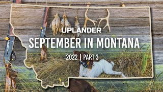 September in MONTANA Wild Birds in Wild Places Part 3 Finale [upl. by Verne]