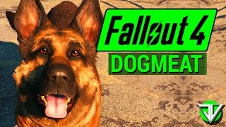 FALLOUT 4 Dogmeat COMPANION Guide Everything You Need to Know About Dogmeat [upl. by Haimirej710]