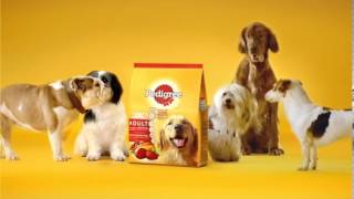 Pedigree® NEW 15sec TVC English [upl. by Bigelow]