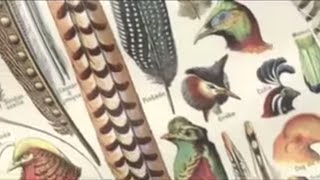 Olivier Messiaen 19081992 Messiaens use of birdsong [upl. by Errecart]