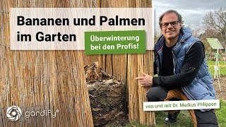 Bananen und Palmen im Garten – Tipps zur Überwinterung  gardify im Botanischen Garten Bonn [upl. by Wie]