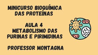 AULA 4  MINI CURSO BIOQUÍMICA DAS PROTEÍNAS  PURINAS E PIRIMIDINAS PROFESSOR MONTAGNA [upl. by Amari]