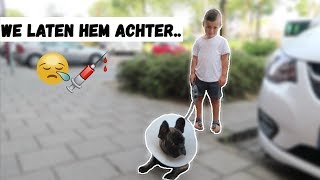 WE NEMEN AFSCHEID VAN PABLO  VLOG 138 [upl. by Perice]