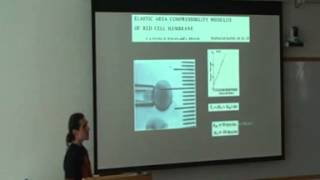 Darius Koester  Micropipette Aspiration [upl. by Nodnelg]