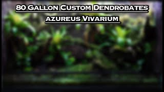 Poison Dart Frog 80 Gallon Custom VivariumPaludariuim Built From Scratch [upl. by Eiznil]