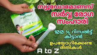 സുഡോമോണസ് സർവ രോഗ സംഹാരി  100 റിസൾട്ട് കിട്ടാൻ ഉപയോഗിക്കേണ്ട രീതികൾ  Pseudomonas use A to Z [upl. by Ibson]