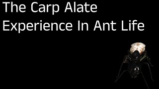 The Carp Alate Experience In Ant Life [upl. by Willner490]