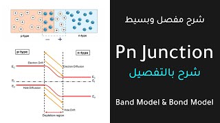 Pn Junction  Full Explanation [upl. by Neelyam128]