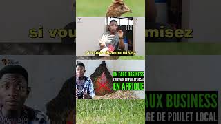 P1 ATTENTION avec LELEVAGE DE POULET LOCAL en AFRIQUE [upl. by Yobybab407]