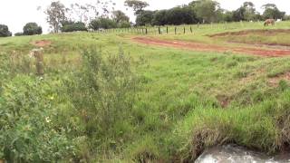 Fazenda 6274 Ha  Camapuã Parte 1 [upl. by Ennairrek]