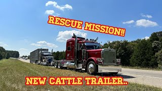 A Rescue Mission Lands Us A Triple Axle Cattle Trailer ITS INSANELY NICE [upl. by Nohsar665]