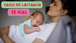 CRISIS DE LACTANCIA DE LOS 15 DIAS [upl. by Attehcnoc]