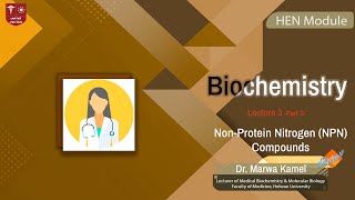 33 NonProtein Nitrogen NPN Compounds [upl. by Flosser]