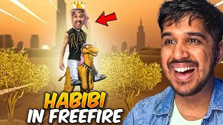 HABIBI 🐪 THE KING OF FREE FIRE [upl. by Mignonne]