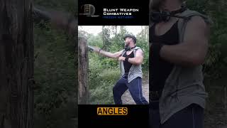 Blunt Weapon Combatives  Strike Angles  Recon Method [upl. by Clareta]