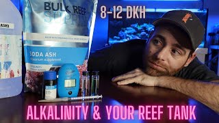 Alkalinity and Your Reef Tank What You Need to Know [upl. by Alick]