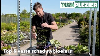 Arjans top 5 vaste bloeiende schaduwplanten  TUINPLEZIER [upl. by Akimot88]