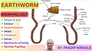 Morphology of Earthworm External features of EarthwormI Class 11 II ZOOLOGY II NEB II CEE II NEET [upl. by Adla]