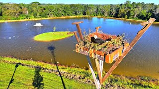 Eagles are Nesting at the 5 Acre Pond [upl. by Gnahc]