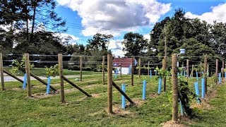 Starting a Backyard Vineyard [upl. by Norek]