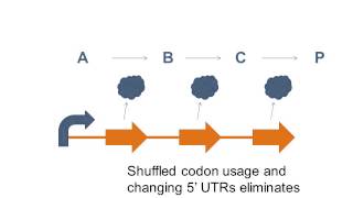 Regulation in Biosynthetic Pathways [upl. by Georglana447]