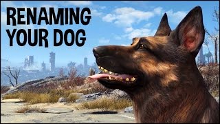 How to Get Dogmeat His Real Name 🐕 Fallout 4 Tips amp Tricks [upl. by Giannini]