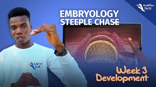 3RD WEEK OF DEVELOPMENT EMBRYOLOGY STEEPLECHASE QUESTIONS [upl. by Aplihs]